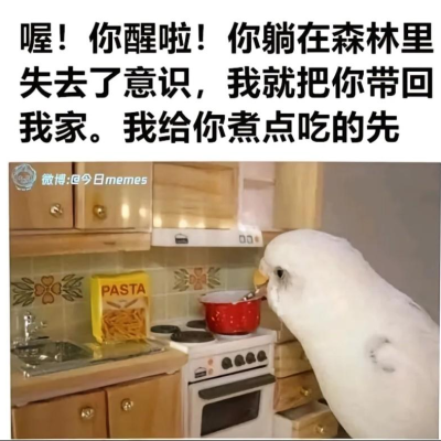RnJjNkZvbGZWbDhobFArZ0hwNUJNby9ZUW1mcWFYRjFPQmFDK09Ga21VRT0.jpg