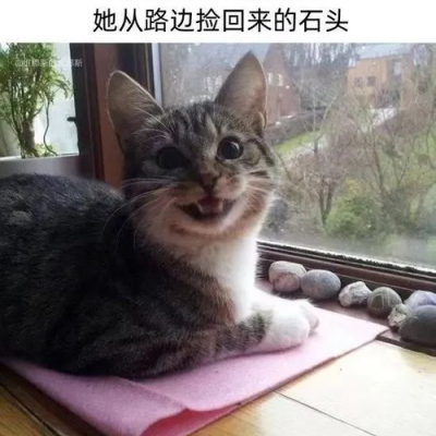ckNXTVllZk1xdjBUTy92MlluNENkT3dwWjdXeWU5bVpWVWdqbDZKSTNSZz0.jpg