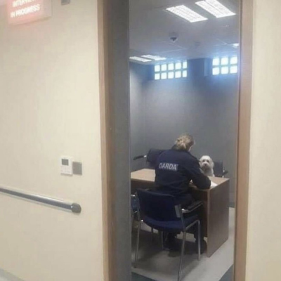 WTJPWG5UdytFcUR6dFNrTkZzMXZid1FKTFlSTXIzNVBEenUwYWQxT1I1Zz0.jpg